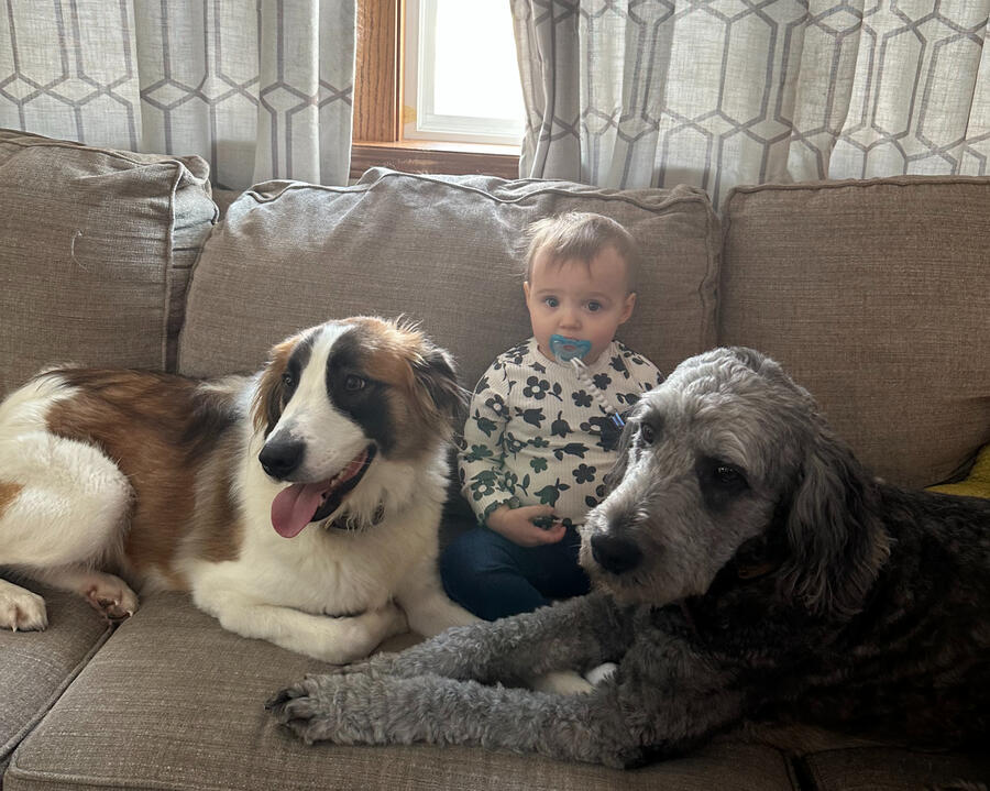 Bonnie and Bernie relaxing with our niece on the couch