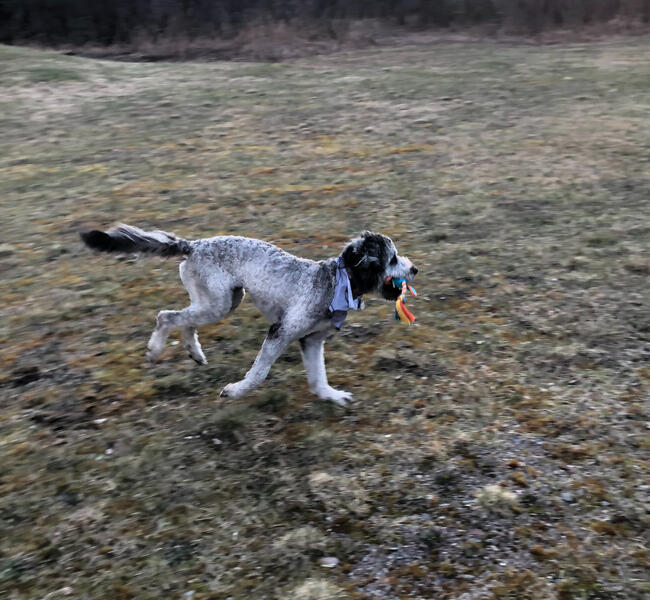 Bonnie's 1st Brithday