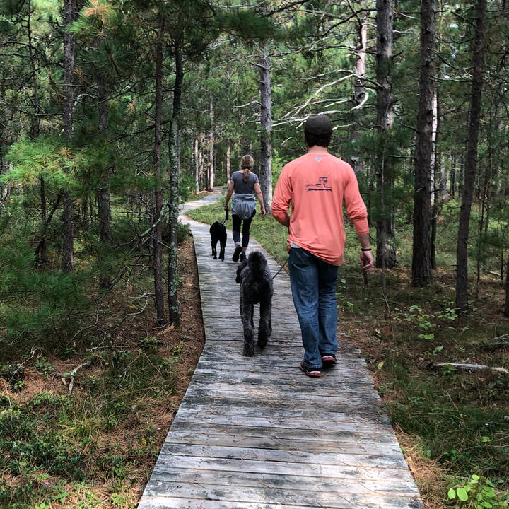 Family hiking outdoors with dogs