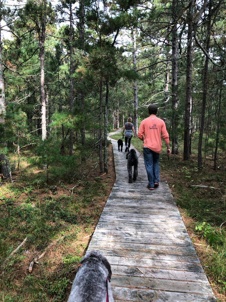 Hiking Big Bay State Park on Madeline Island with Erik's Stepmom and the dogs