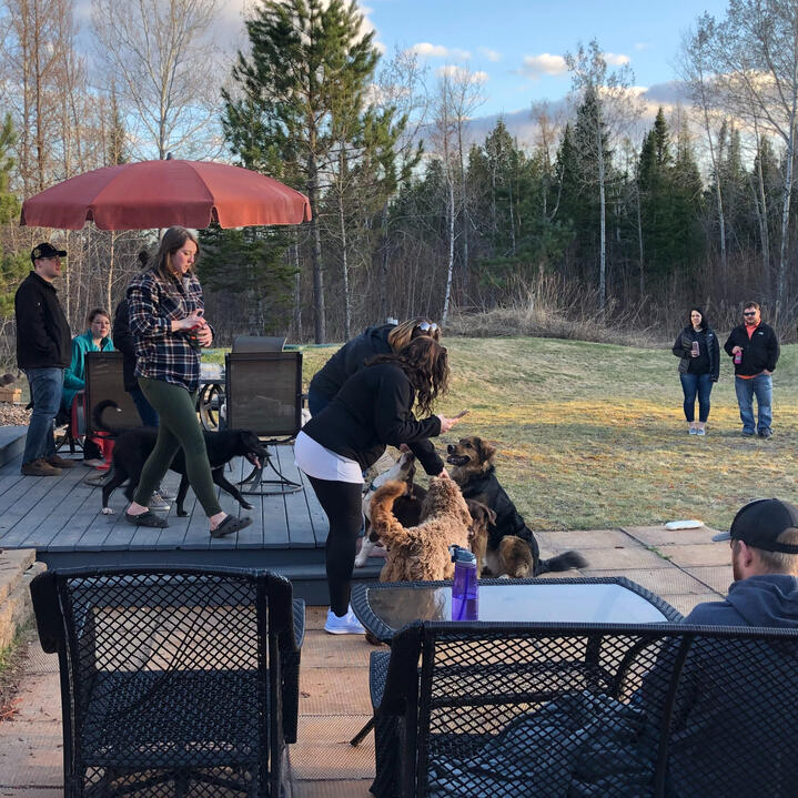 Friends, family, and dogs gathering together outdoors at Hannah and Erik's home