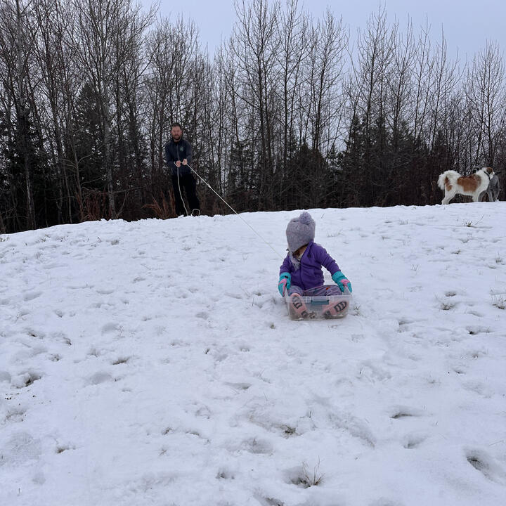Young niece sledding in the snow at